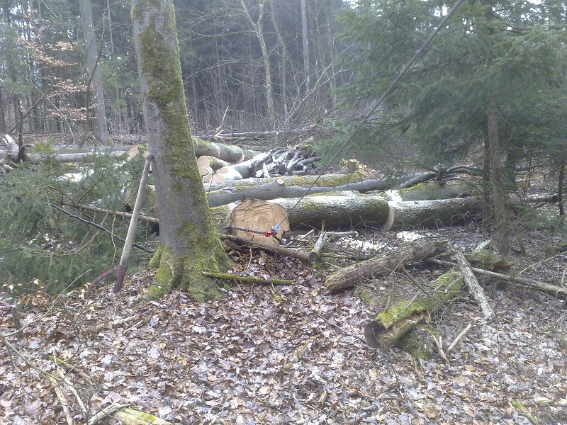 Brennholz_1.jpg