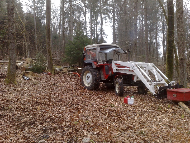 Brennholz_01.jpg