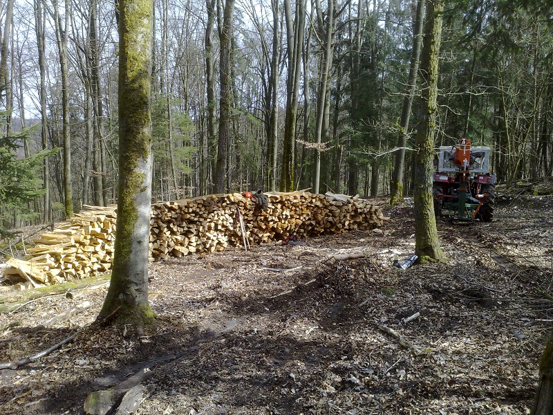 Brennholz_5.jpg