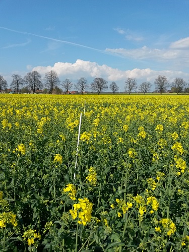 2016-04-16 15.23.25.jpg