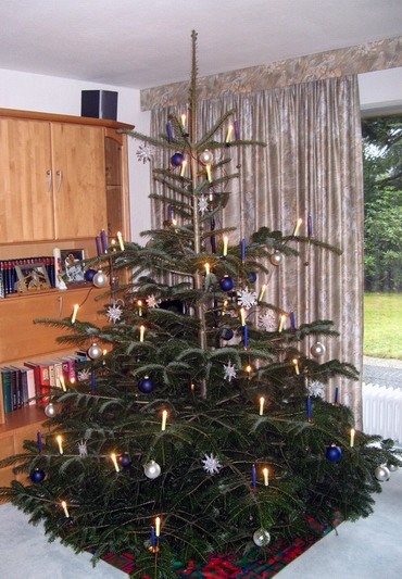 Weihnachtsbaum.jpg