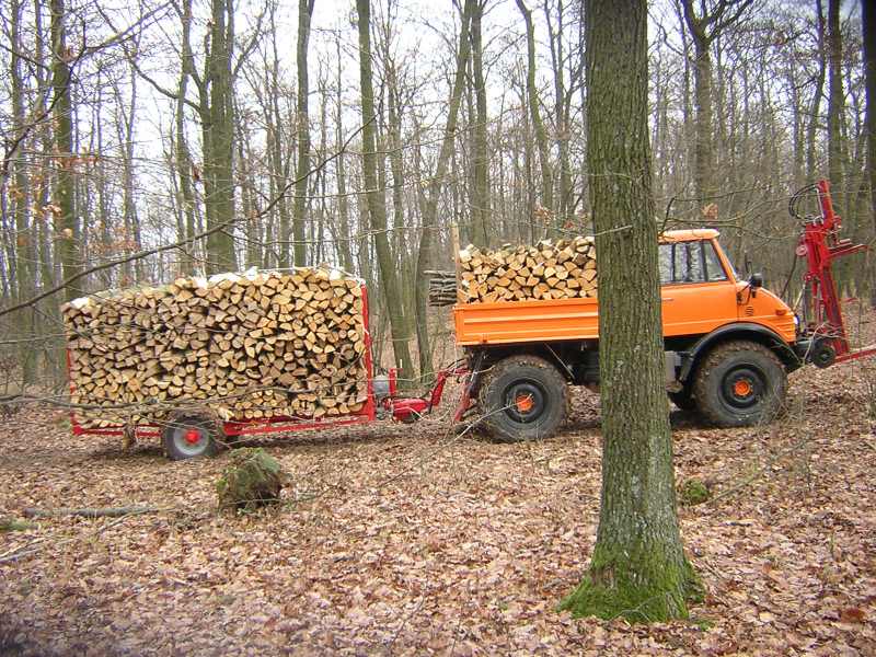 DSCN9639.jpg