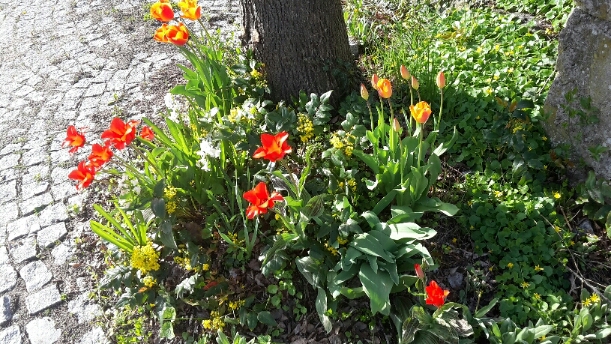 2016-04-23 19.31.38.jpg