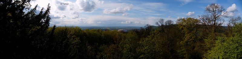 Blick über die Rheinebene.jpg