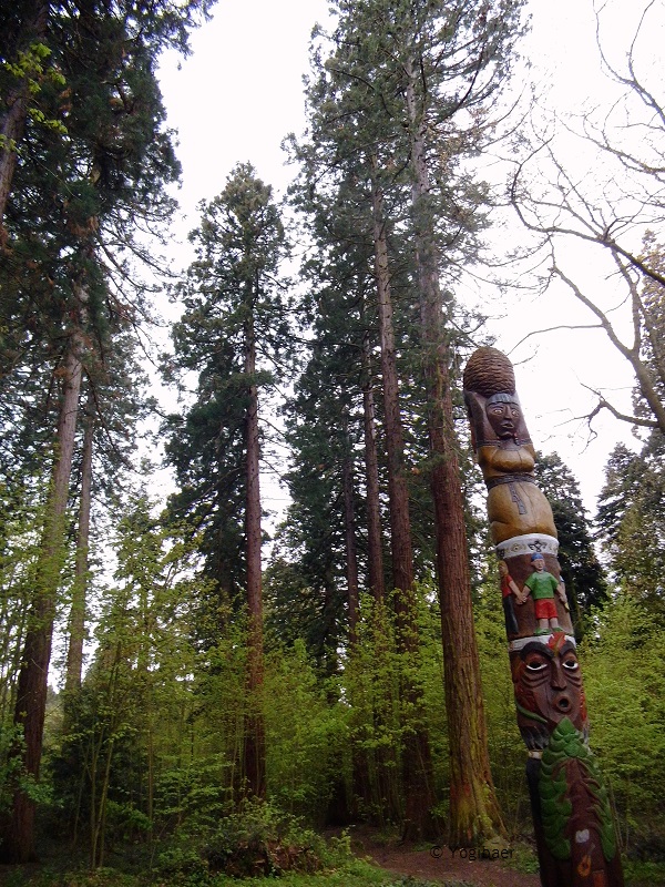 Ich komm mir vor wie im Yellystone Park.jpg