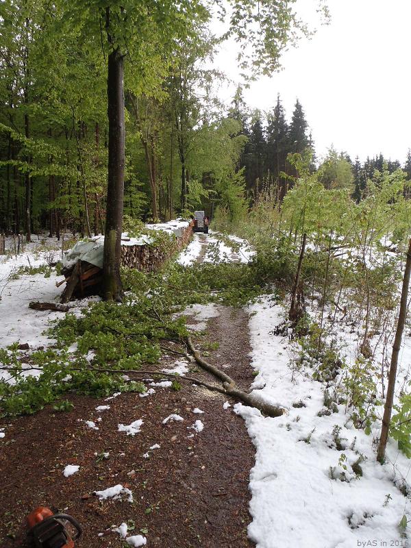 Schneefall_P4280649_50.JPG