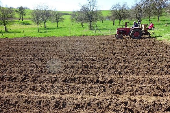 C__Data_Users_DefApps_AppData_INTERNETEXPLORER_Temp_Saved Images_5.JPG