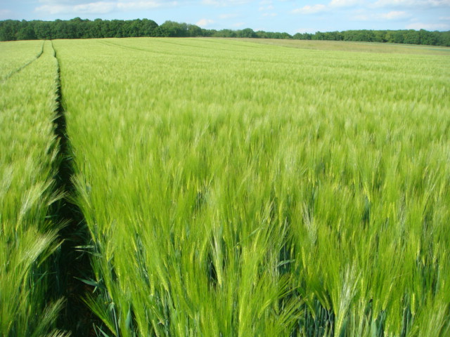 Das erste Highlight des Tages.JPG