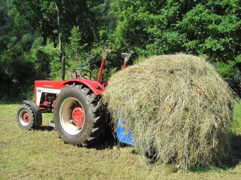 Wo ist mein Schlepper 05.jpg