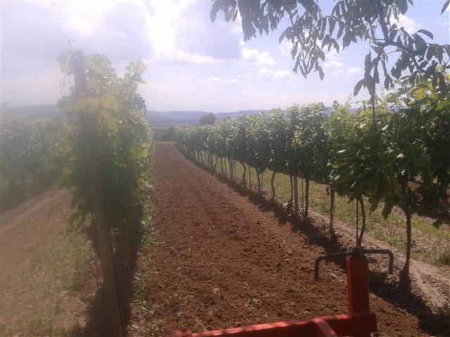 2016-07-01 13.32.28.jpg