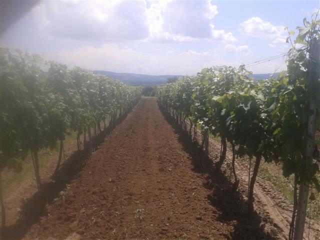 2016-07-01 13.32.42.jpg