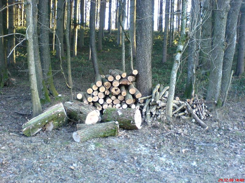 Brennholz_29_Dez_V1.jpg