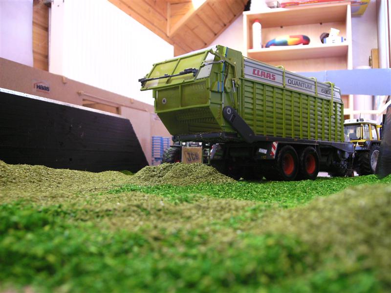 BILD0602 (Medium).JPG