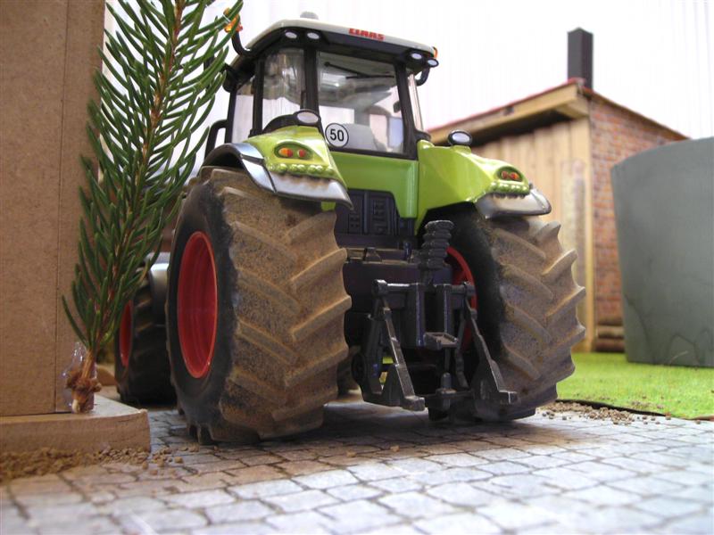 BILD0640 (Medium).JPG