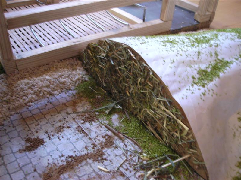 BILD0618 (Medium).JPG