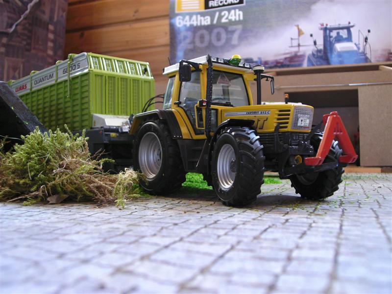 BILD0573 (Medium).JPG