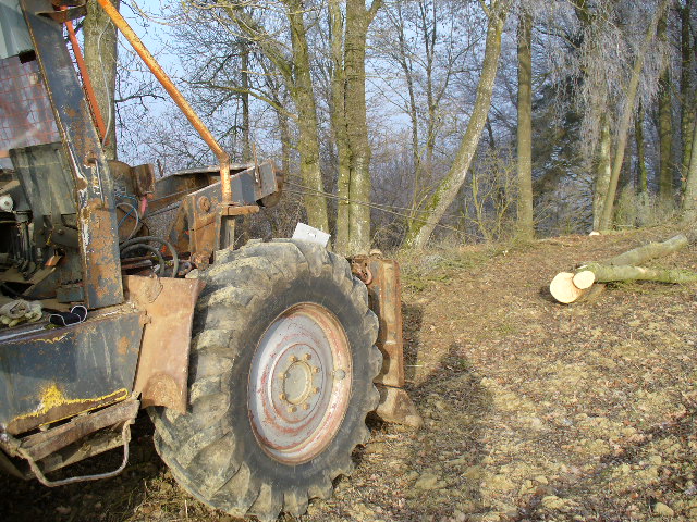 P1010359.JPG