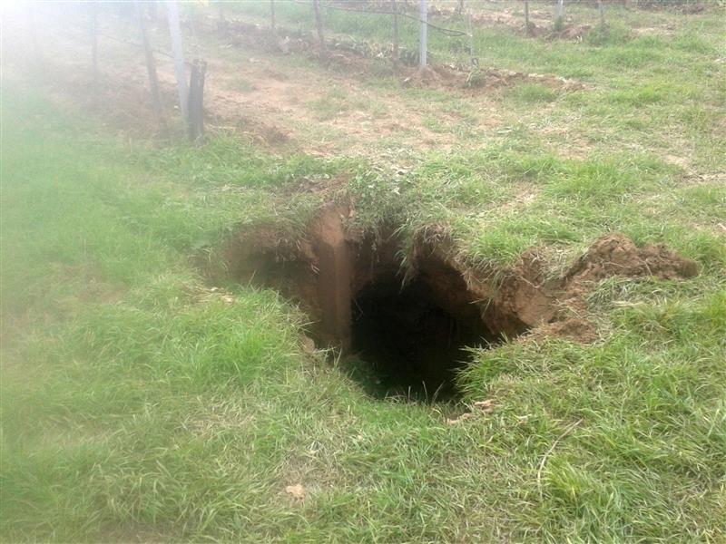 2016-07-27 14.47.27.jpg