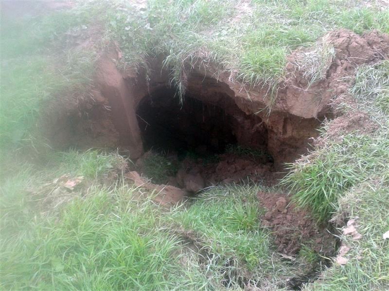 2016-07-27 14.47.19.jpg