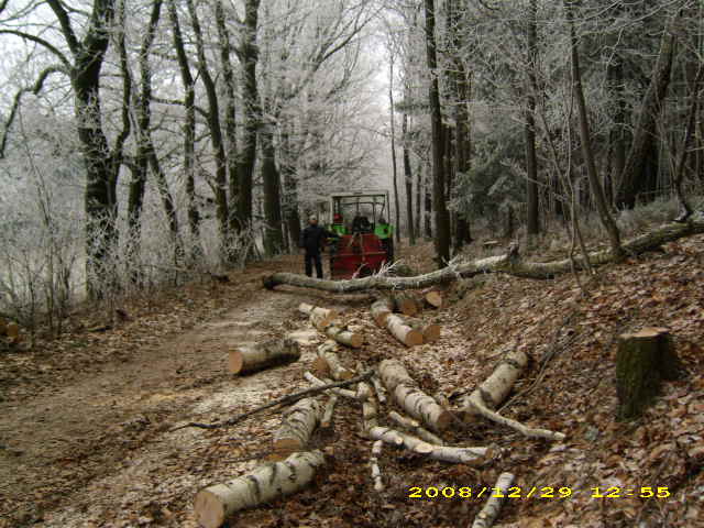 wald u. Forst 109.jpg