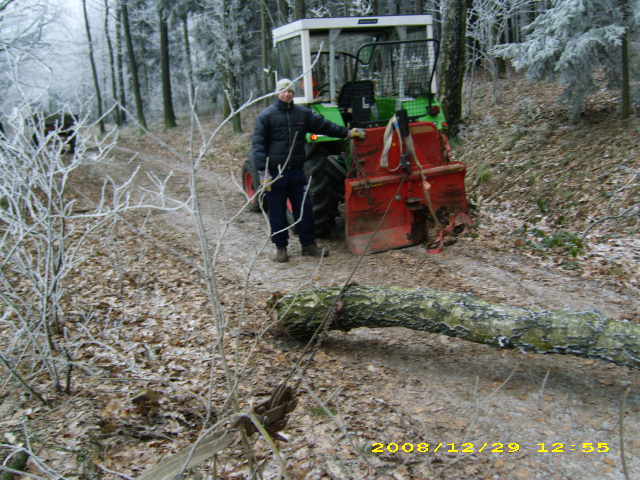 wald u. Forst 108.jpg