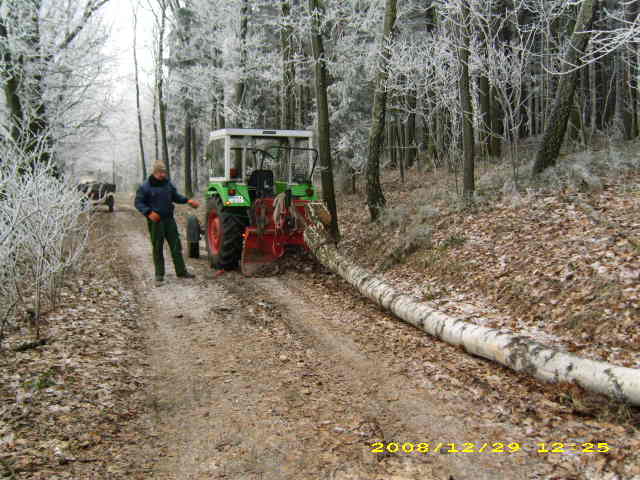 wald u. Forst 103.jpg