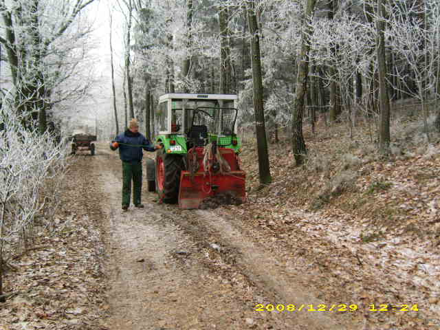 wald u. Forst 101.jpg