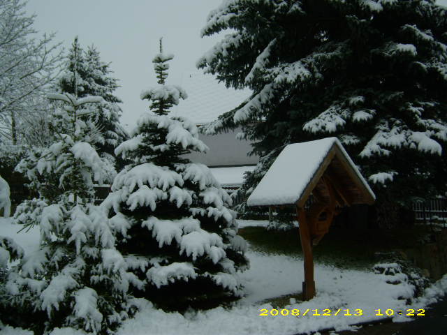 wald u. Forst 070.jpg