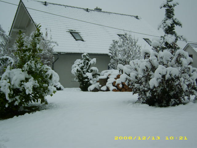 wald u. Forst 067.jpg