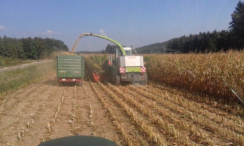 IMG-20160913-WA0021 (1).jpeg