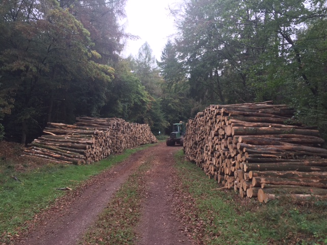 FullSizeRender 2.jpg