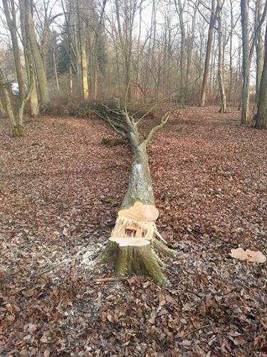 20140308_080651 (Copy).jpg