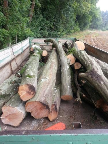 20140828_112738 (Copy).jpg