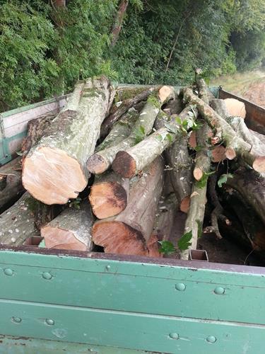 20140828_115104 (Copy).jpg