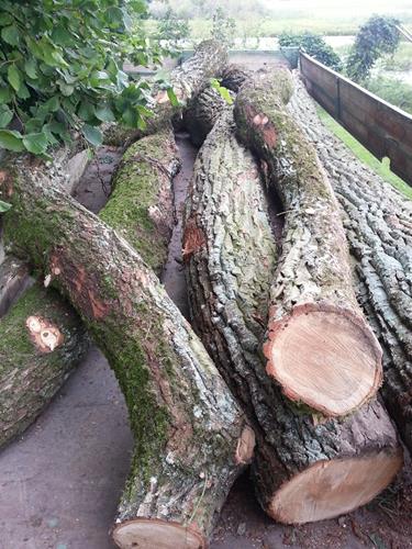 20140823_134212 (Copy).jpg