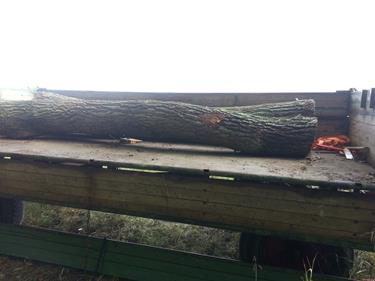 20140823_110847 (Copy).jpg