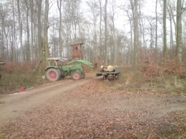 DSC00102.JPG