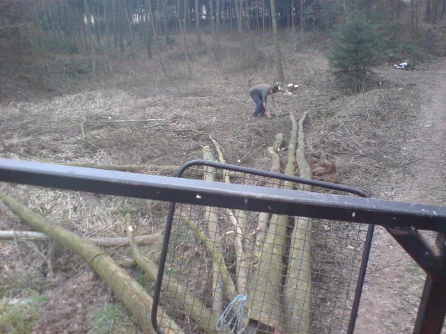 Zetor Holz.JPG