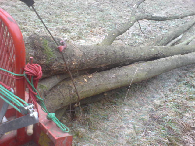 Zetor Holz2.JPG