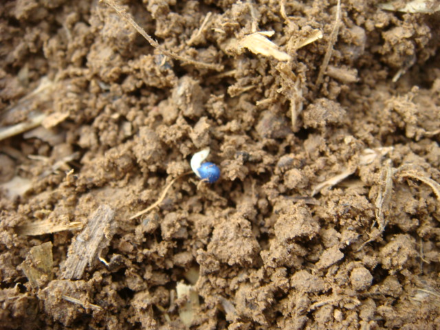 Grubber-Raps am 2.10.16 im Keim-Stadium.JPG