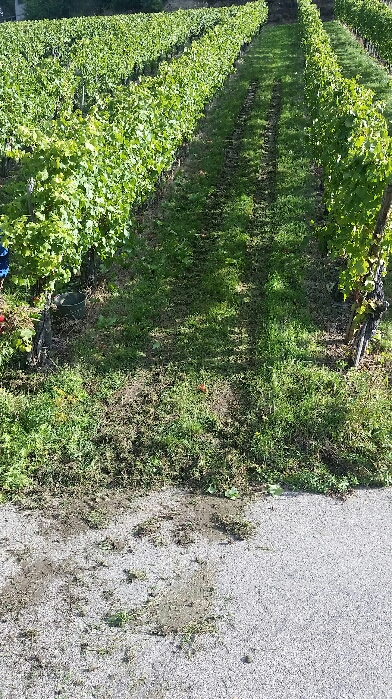 2016-10-05 16.34.46.jpg