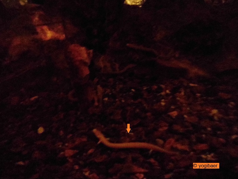 Die sind eingesperrt.jpg