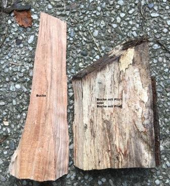 holz2.jpg