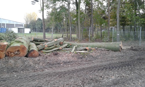 2016-10-30 16.19.22.jpg