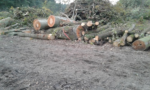 2016-10-30 16.18.00.jpg