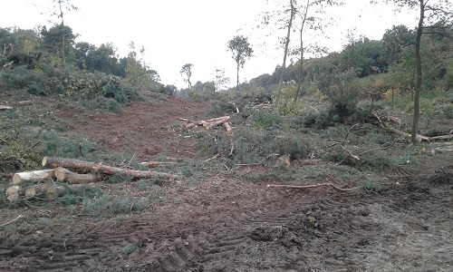 2016-10-30 16.13.03.jpg