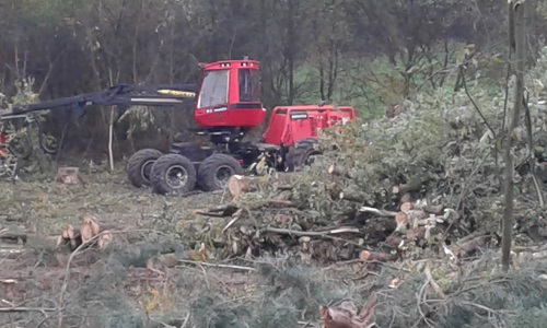 2016-10-30 15.52.17.jpg