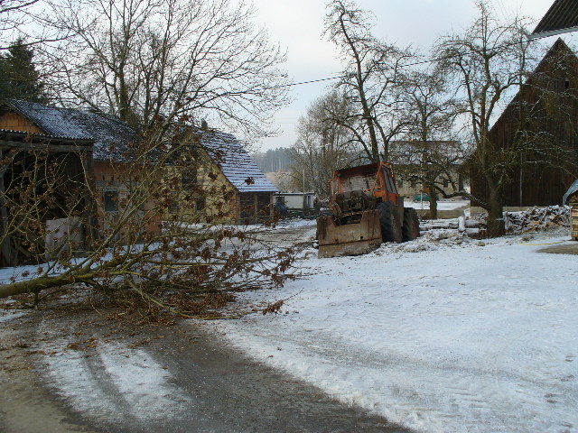 P1010453.JPG