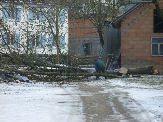 P1010383.JPG