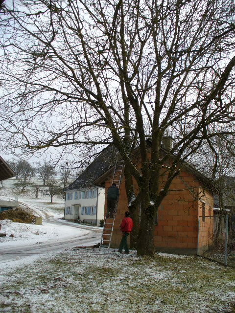 P1010371.JPG